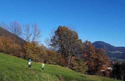 Berg im Drautal Apartamento | Ferienwohnung DrauSport
