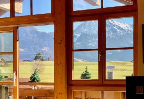 Obermaiselstein Apartamento | Ferienwohnung Edelweiß mit Bergbahn unlimited