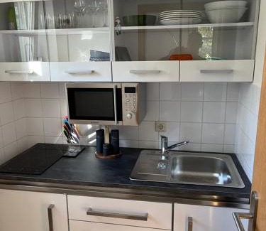 Weinboehla Apartamento | Ferienwohnung Elbtal Meißen, Dresden, Moritzburg