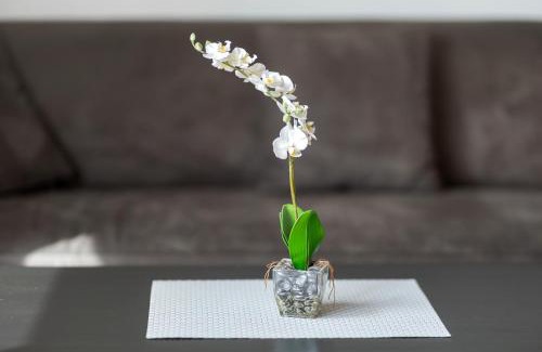 Hochwaldhausen Apartamento | Ferienwohnung Eva