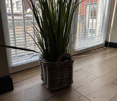 Bredstedt Apartamento | Ferienwohnung Föhr