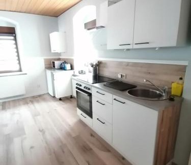 Oberwiesenthal Apartamento | Ferienwohnung Familie Kowarik