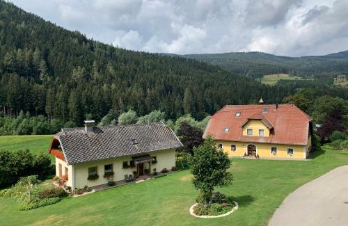 Frauenstein Apartamento | Ferienwohnung Familie Kampl