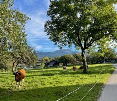 Frasdorf Apartamento | Ferienwohnung Florina