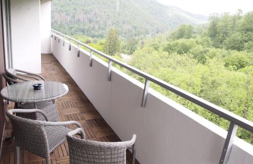 Bad Harzburg Apartamento | Ferienwohnung GrünWald