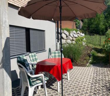 Andelsbuch Apartamento | Ferienwohnung Grunholz
