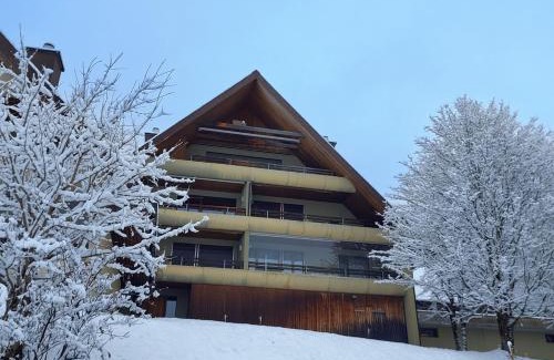 Wildhaus-Alt St. Johann Apartamento | Ferienwohnung Halden