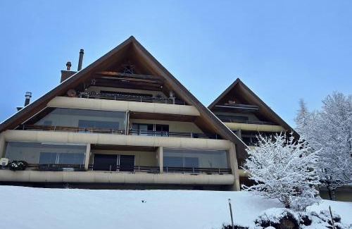 Wildhaus-Alt St. Johann Apartamento | Ferienwohnung Halden