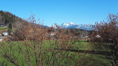Siegsdorf Apartamento | Ferienwohnung Hammer - Alpenblick