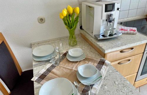 Geyer Apartamento | Ferienwohnung Haus Feig