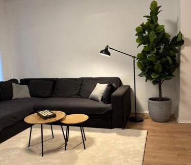 Aue Apartamento | Ferienwohnung Haus Paraschiv