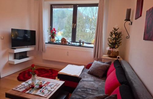 Schoenecken Apartamento | Ferienwohnung Haus Schöneck