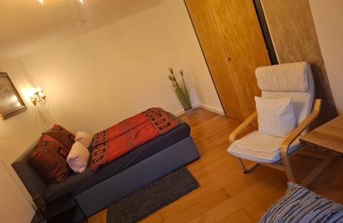 Schoenecken Apartamento | Ferienwohnung Haus Schöneck