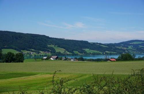 Tiefgraben Apartamento | Ferienwohnung Hausleitner