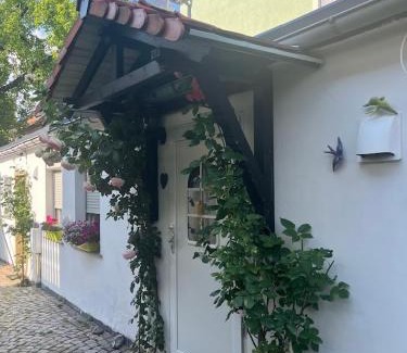 Weinboehla Apartamento | Ferienwohnung Heyne