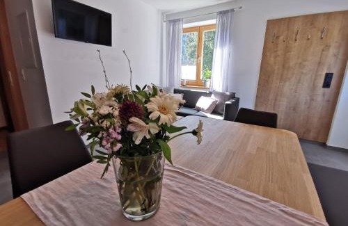 Annaberg im Lammertal Apartamento | Ferienwohnung Hirscher