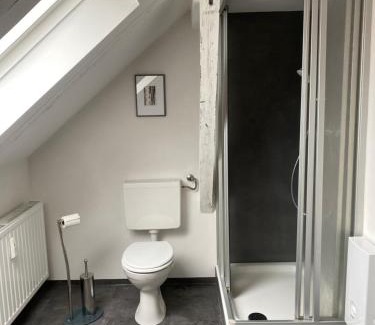Schladen-Werla Apartamento | Ferienwohnung Hof Bernsee