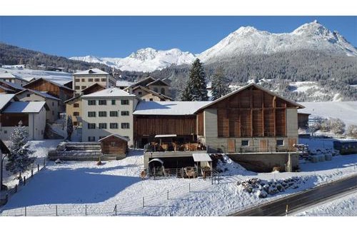 Grisons Apartamento | Ferienwohnung Hof Collet