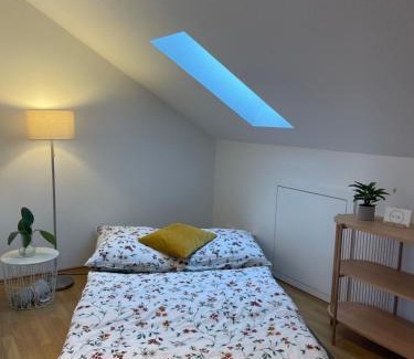 Rothenbach Apartamento | Ferienwohnung Huimelig im Allgäu