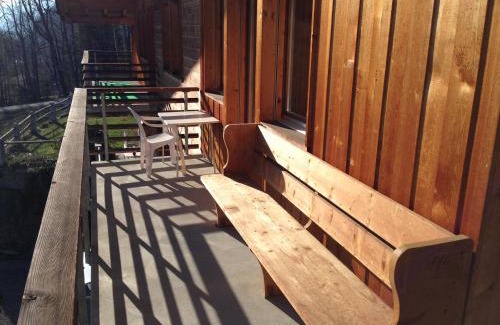 Hohfluh Apartamento | Ferienwohnung Ichtys