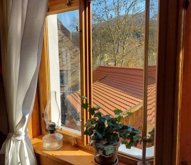 Ziegenhain Apartamento | Ferienwohnung im idyllischen Jena Ziegenhain