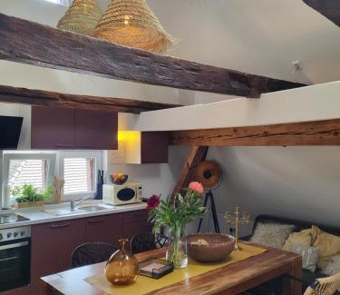 Bahlingen Apartamento | Ferienwohnung im Rebstock Nr.1