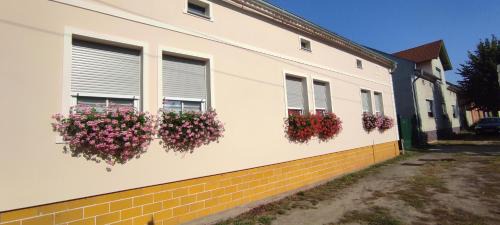 Cottbus Apartamento | Ferienwohnung in Cottbus-Klein Ströbitz Nähe Badesee