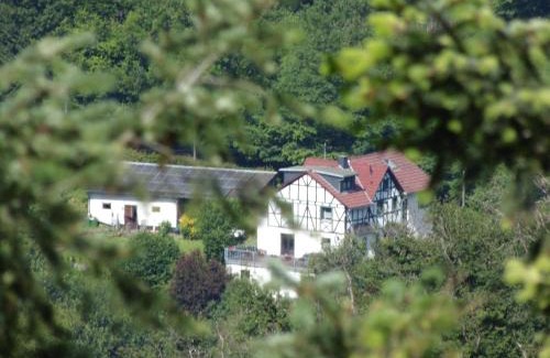 Waldbreitbach Apartamento | Ferienwohnung In Waldbreitbach Mit Whirlpool