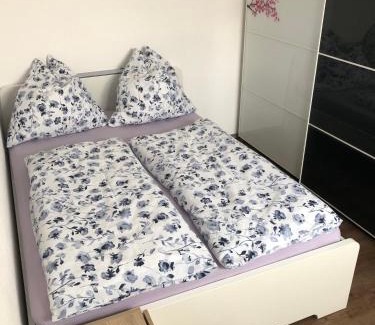 Wiesenbach Apartamento | Ferienwohnung Janson