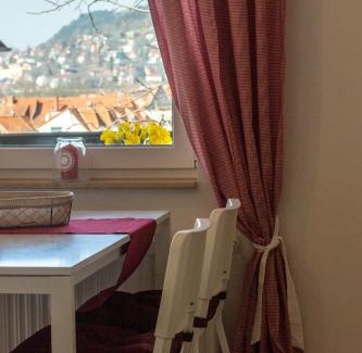 Wenigenjena Apartamento | Ferienwohnung Jenzigblick