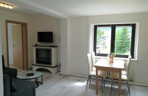 Oberwiesenthal Apartamento | Ferienwohnung Jump INN