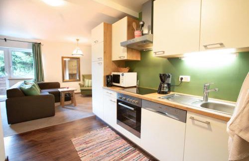 Konigsleiten Apartamento | Ferienwohnung Königsleiten 3 Top 5