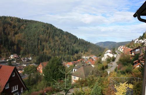 Triberg im Schwarzwald Apartamento | Ferienwohnung King