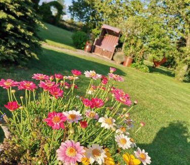 Saalburg-Ebersdorf Apartamento | Ferienwohnung Landidyll