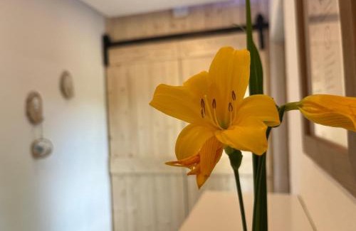 Tann Apartamento | Ferienwohnung Lilly, 60qm, 4 Personen