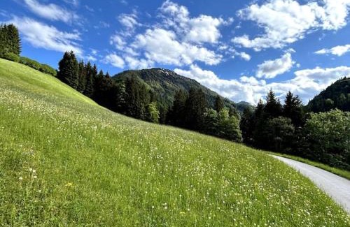 Fieberbrunn Apartamento | Ferienwohnung Luchtmaurer Auszeit