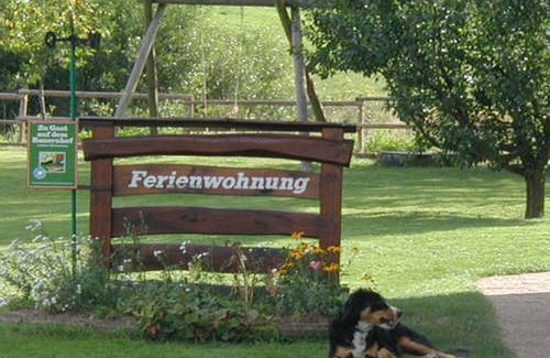 Sankt Georgen im Schwarzwald Apartamento | Apartamento con 52 m 2, 2 habitaciones para max. 5 personas
