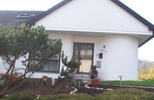 Niederemmel Apartamento | Ferienwohnung mit Moselblick