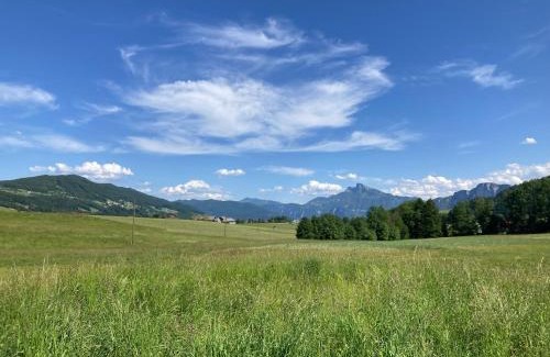 Tiefgraben Apartamento | Ferienwohnung Mondsee-Irrsee