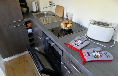 Geyersberg Apartamento | Ferienwohnung N 170 mit Balkon
