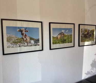 Goppertsweiler Apartamento | Ferienwohnung nahe des Bodensees