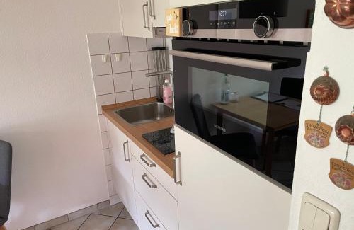 Bad Hindelang Apartamento | Ferienwohnung Niklas inklusive Bad Hindelang Plus