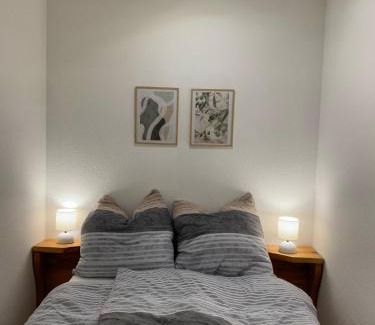 Herrischried Apartamento | Ferienwohnung Panorama Schwarzwald