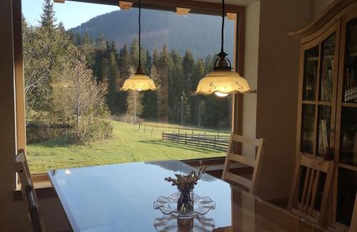 Fieberbrunn Apartamento | Ferienwohnung Remise am Reitl