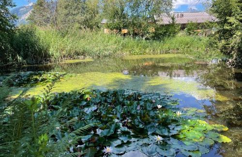 Fieberbrunn Apartamento | Ferienwohnung Remise am Reitl
