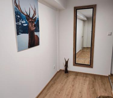 Oberstaufen Apartamento | Ferienwohnung RESL - geschmackvoll renoviert & zentral im historischen Schindelhaus