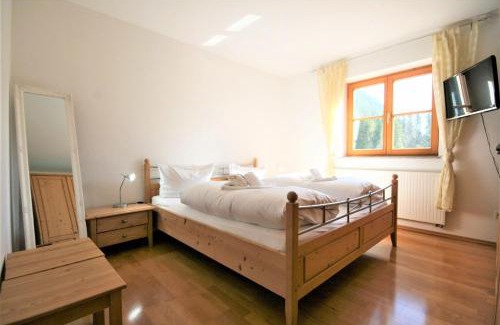 Steinach Apartamento | Ferienwohnung Romi