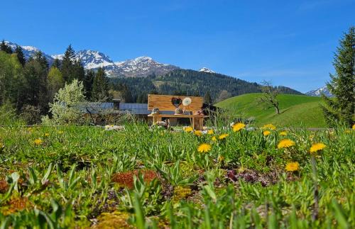Fieberbrunn Apartamento | Ferienwohnung Rotache