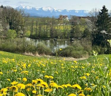 Christazhofen Apartamento | Ferienwohnung Rupp Bergblick & private Sauna
