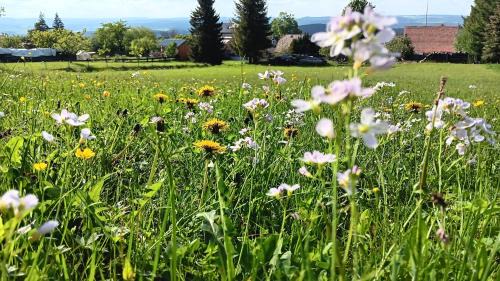 Saalfelder Hoehe Apartamento | Ferienwohnung Saalfeld - Sommerfrische Burkersdorf